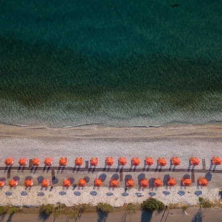 Aparthotel Akrogiali Poros (Kefalonia)